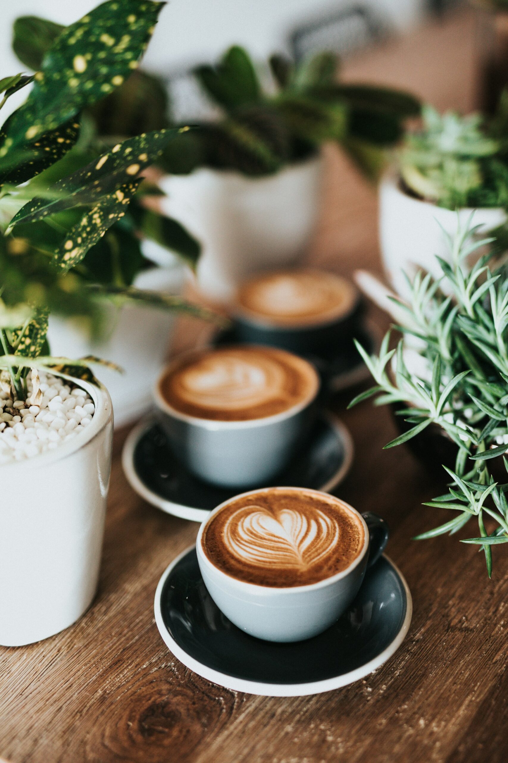 nathan dumlao zUNs99PGDg0 unsplash scaled